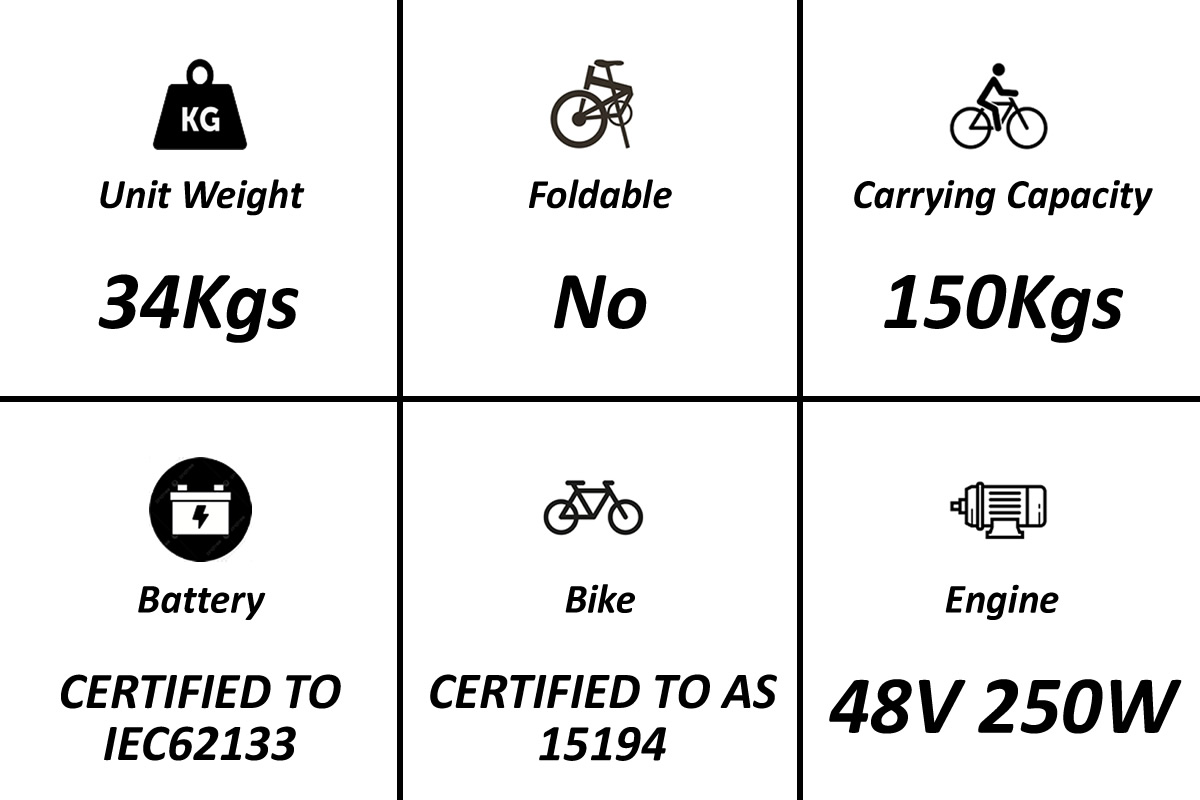 Torrey 20 inch e-bike