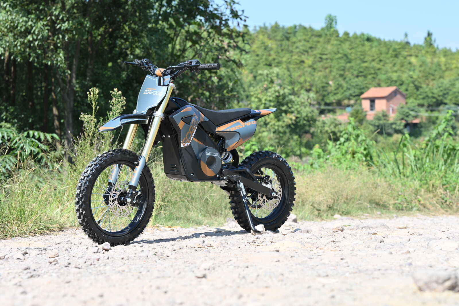 2000 watt electric bike