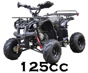 Motoworks 125CC Farm Quad