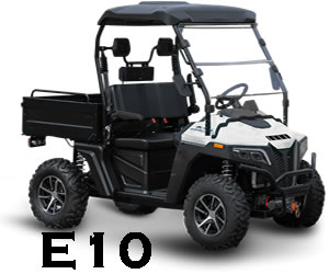 E10 Electric 4WD UTV